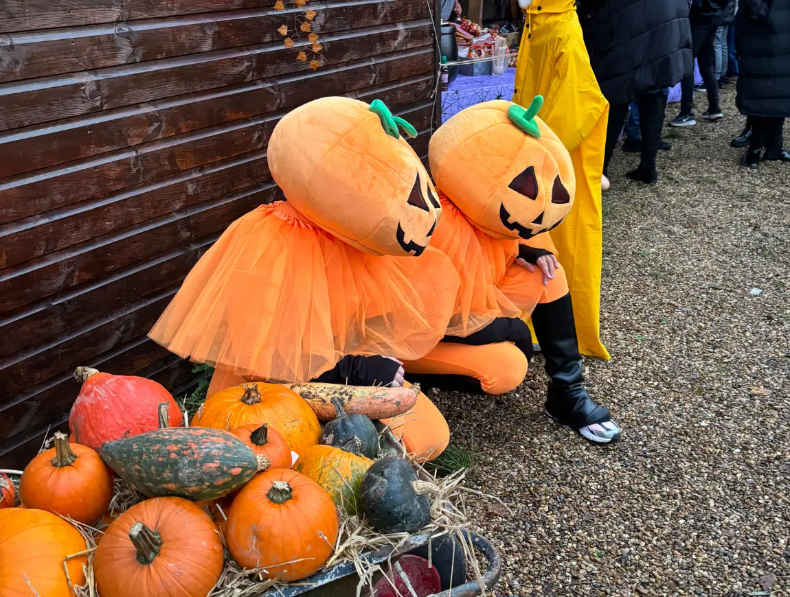 https://beentertained.co.uk/wp-content/uploads/2026/01/Acts-Dancers-Pumpkin-Heads-1.webp